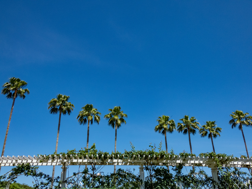 長居植物園にて