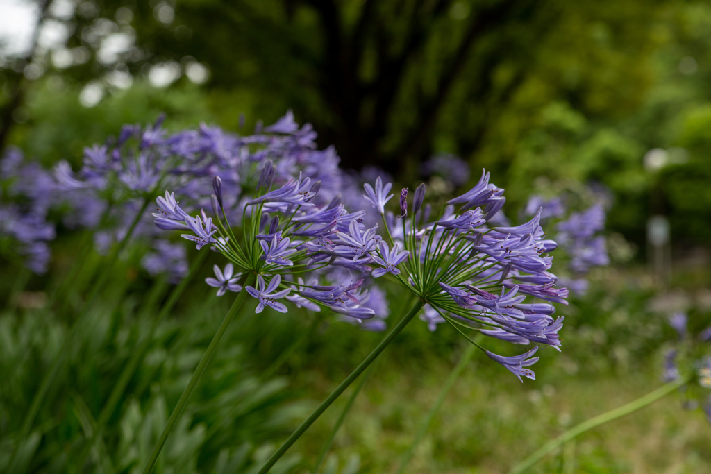 鶴見緑地公園にて