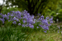 鶴見緑地公園にて