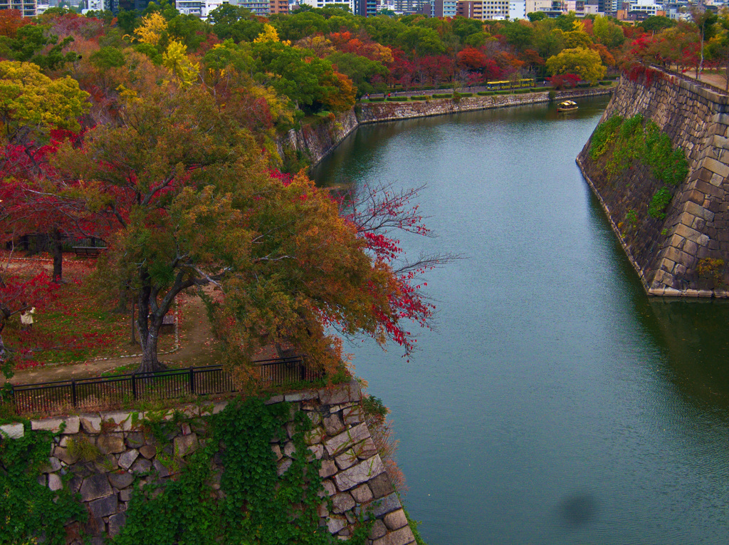 晩秋　大阪城公園にて