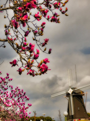 鶴見緑地公園にて