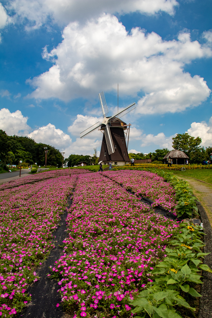鶴見緑地公園にて