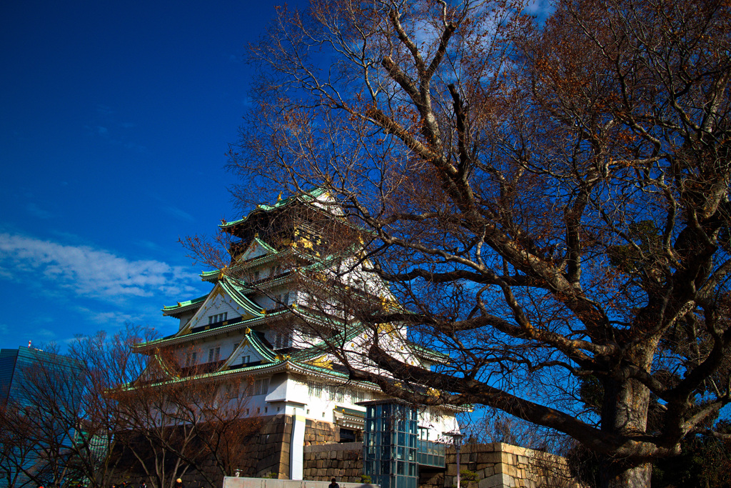 大阪城