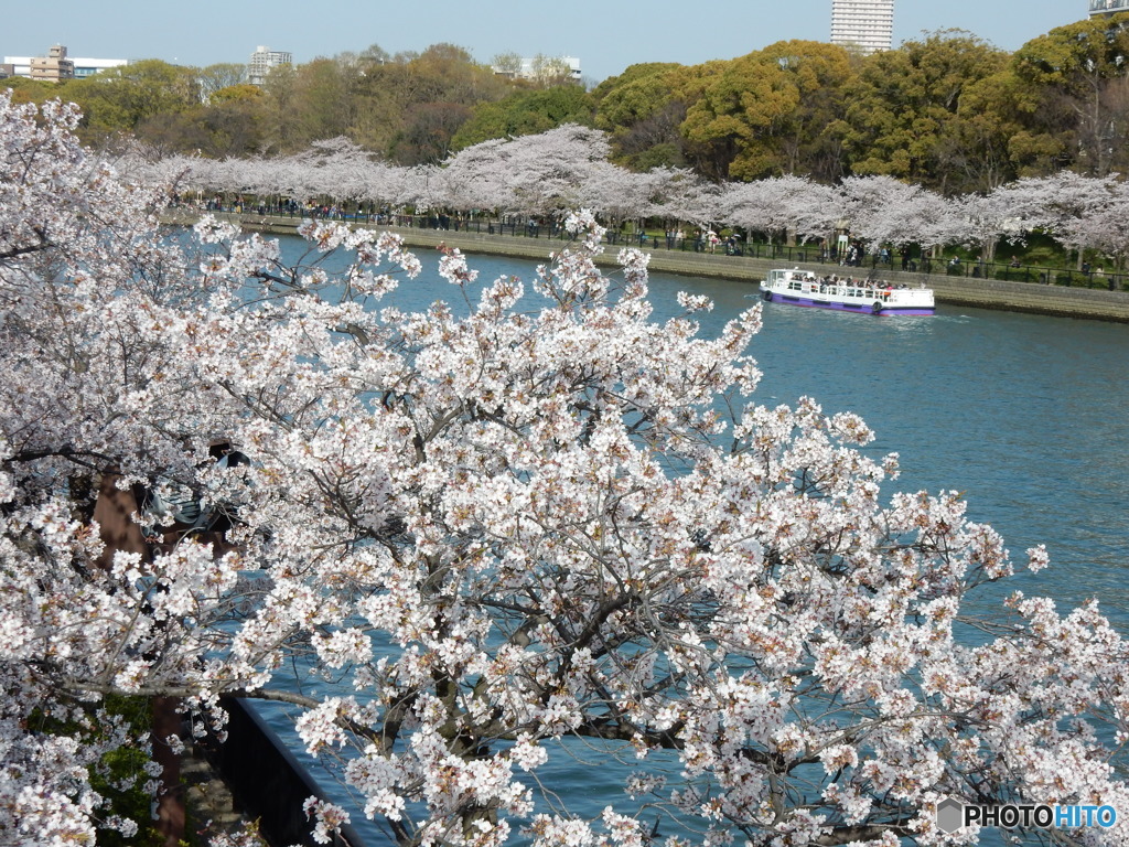 毛馬桜ノ宮公園