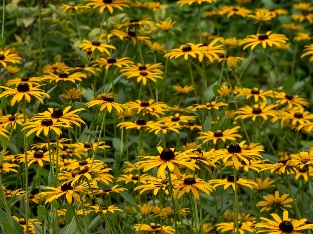 新梅田シティにて