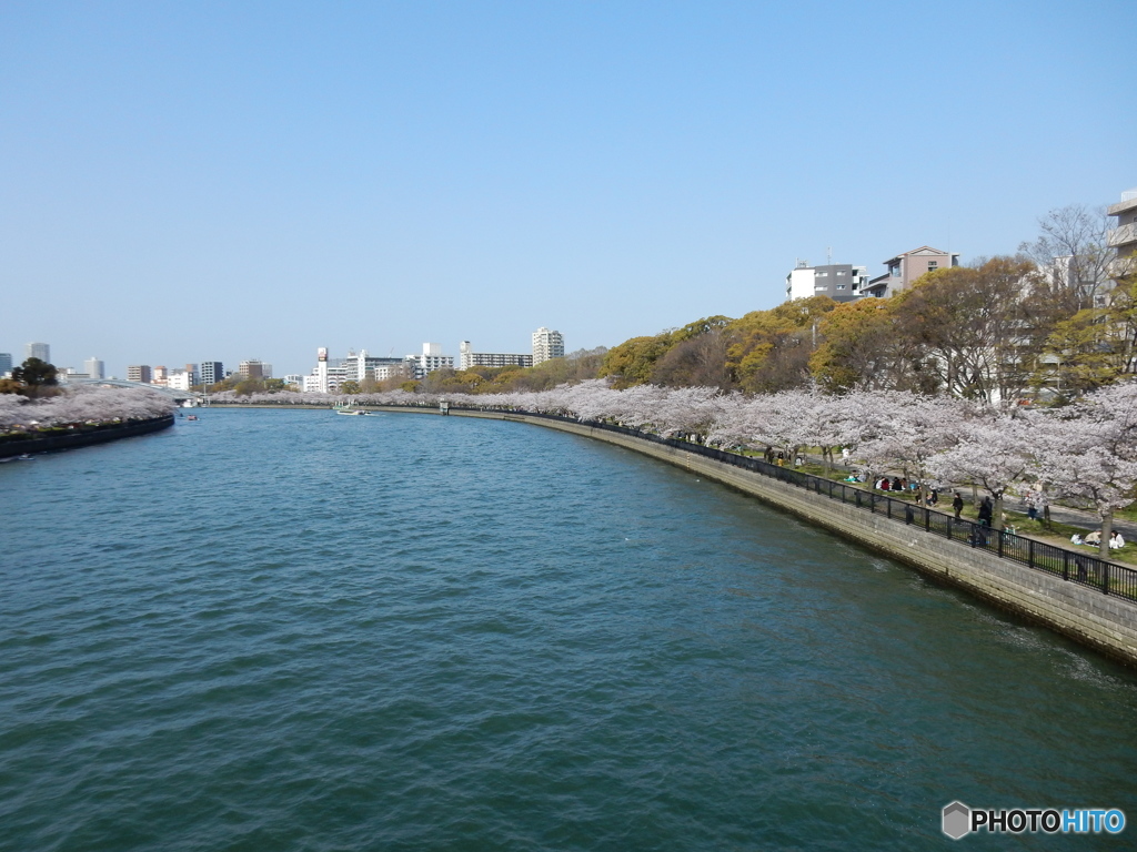 毛馬桜ノ宮公園