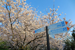 鶴見緑地公園にて