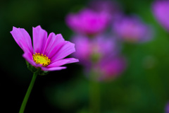 大阪ステーションシティ　天空の農園にて