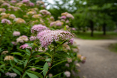 大阪城公園にて