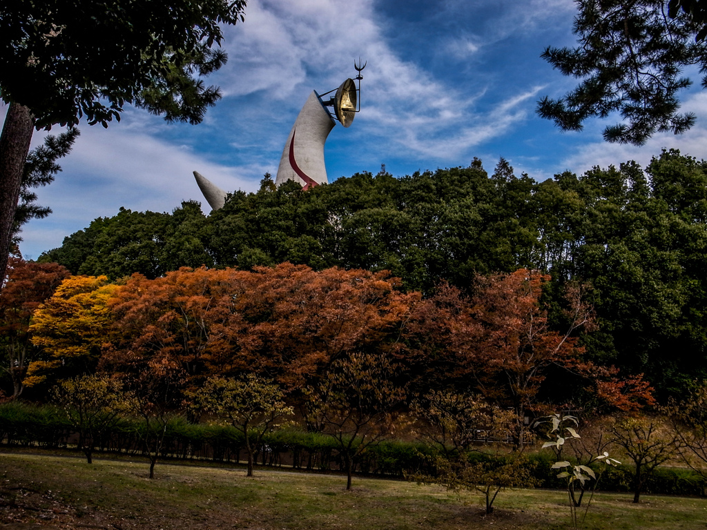 万博記念公園にて