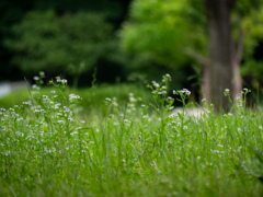 鶴見緑地公園にて