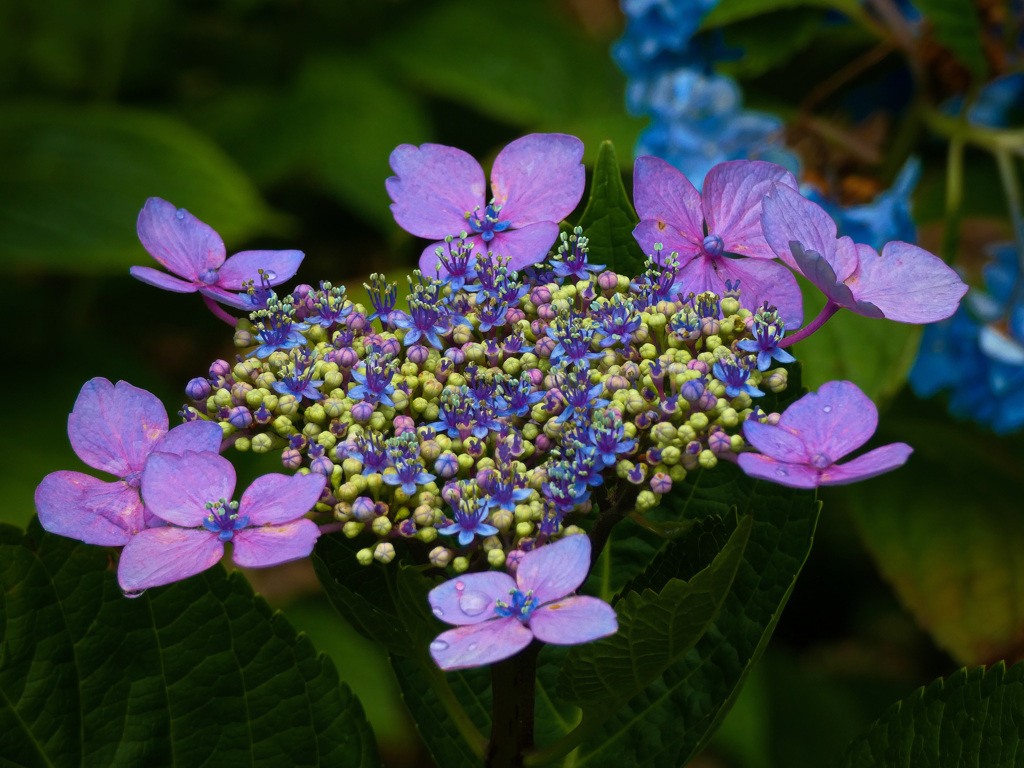 大阪城公園にて