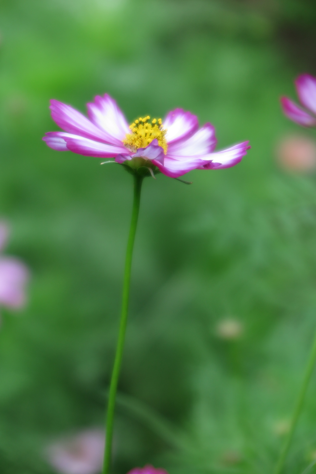 長居植物園にて