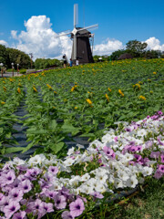 鶴見緑地公園にて