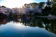 鶴見緑地公園にて