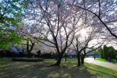 鶴見緑地公園にて
