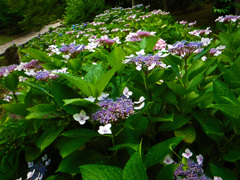 大阪城公園にて