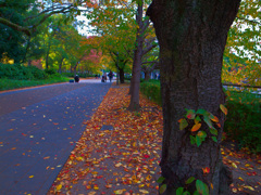 大阪城公園にて