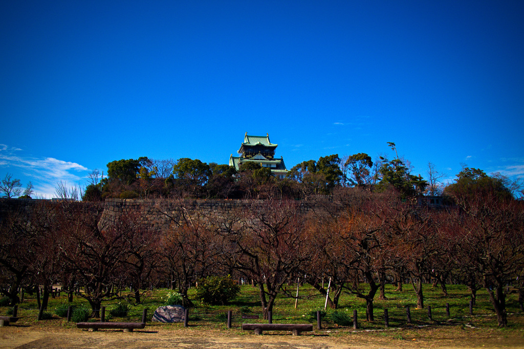 大阪城公園にて