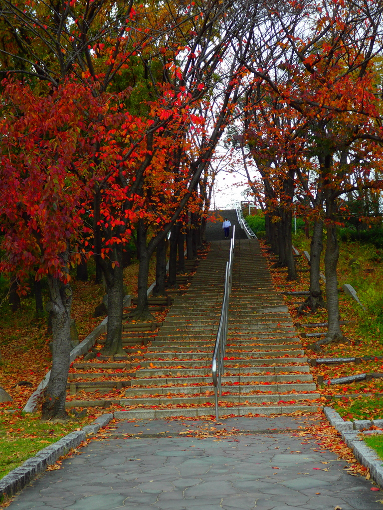 鶴見緑地公園にて