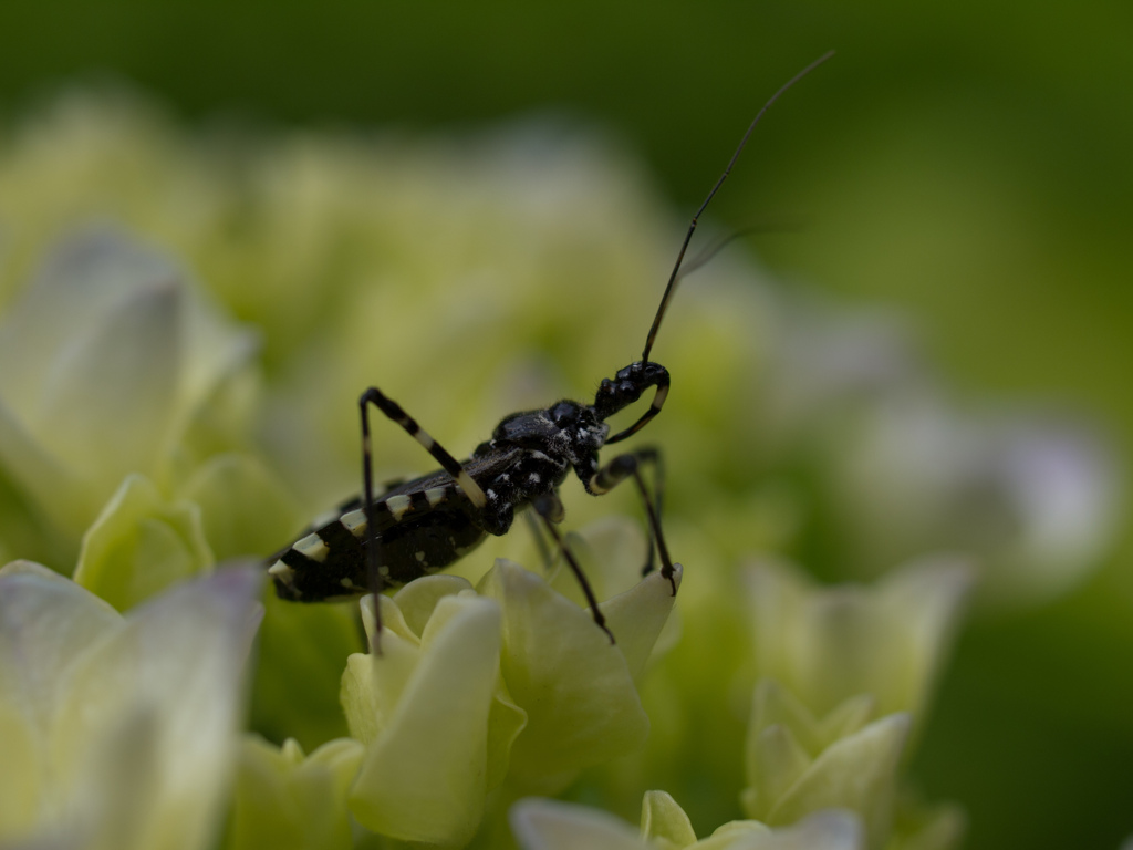 山田池公園にて