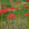 P9212674