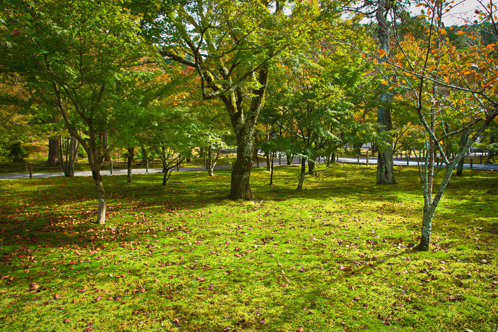 南禅寺で秋探し