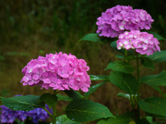 大阪城公園にて