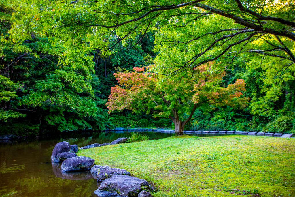 万博記念公園にて