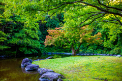 万博記念公園にて