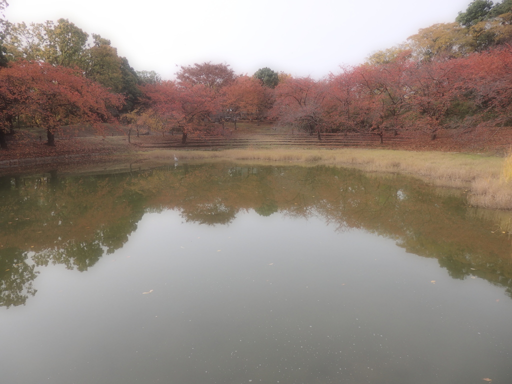 鶴見緑地にて
