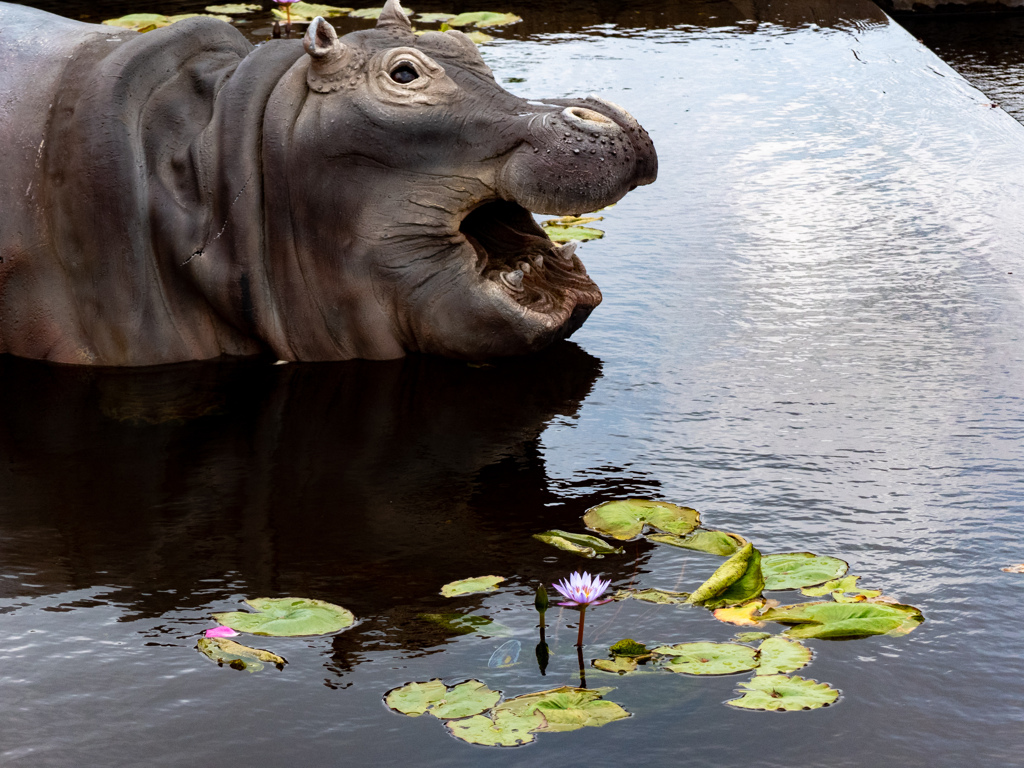 万博記念公園にて