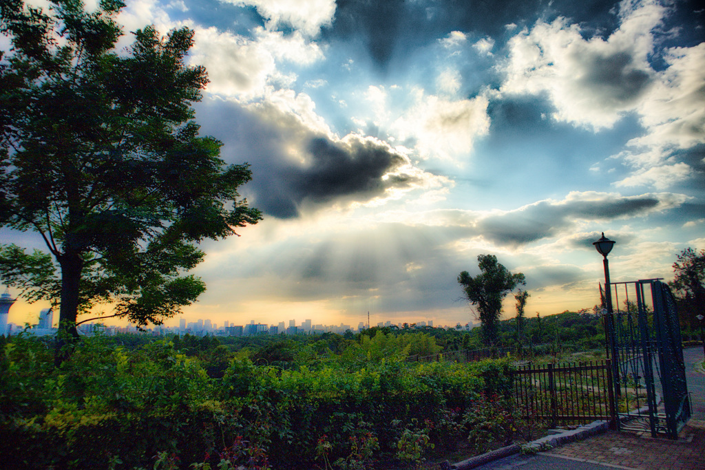鶴見緑地公園にて