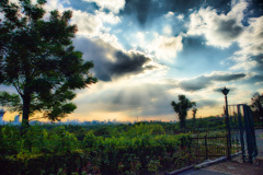 鶴見緑地公園にて 鶴見緑地公園にて