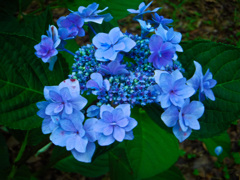 大阪城公園にて