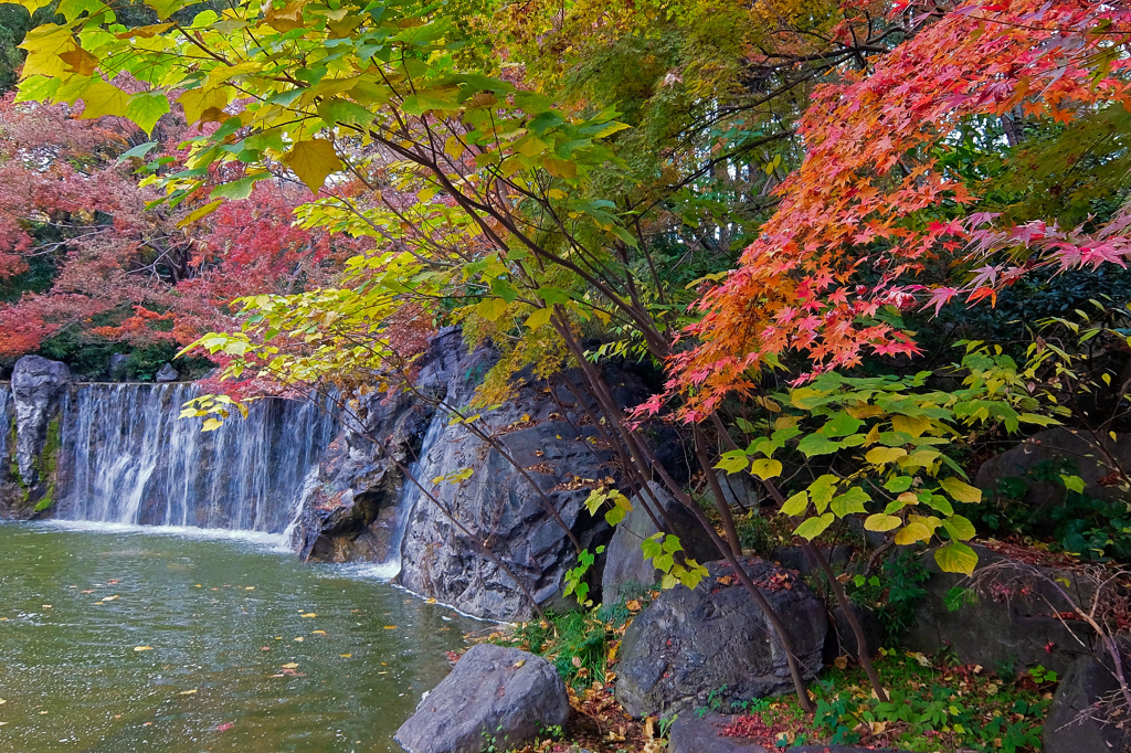 鶴見緑地公園にて