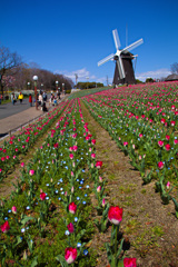 鶴見緑地公園にて