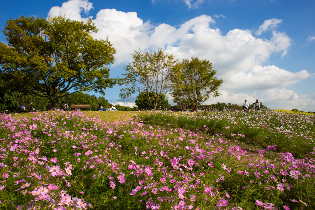 万博記念公園にて