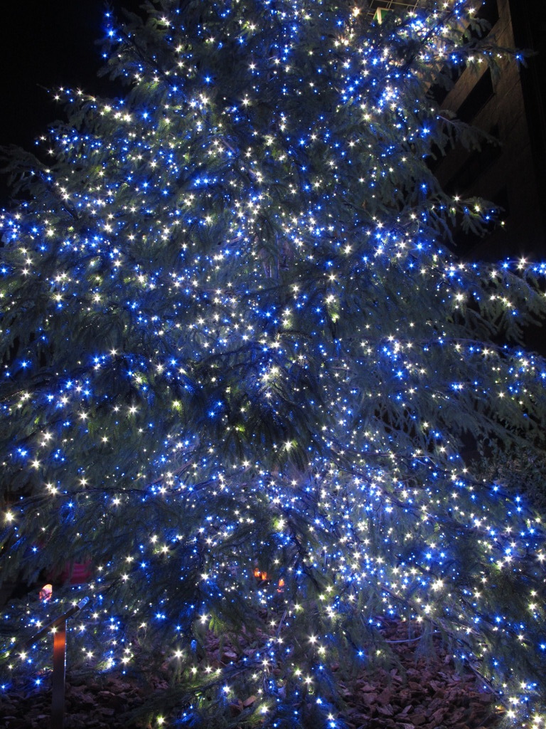 ツリー(光のルネサンス)