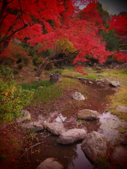 円山公園にて