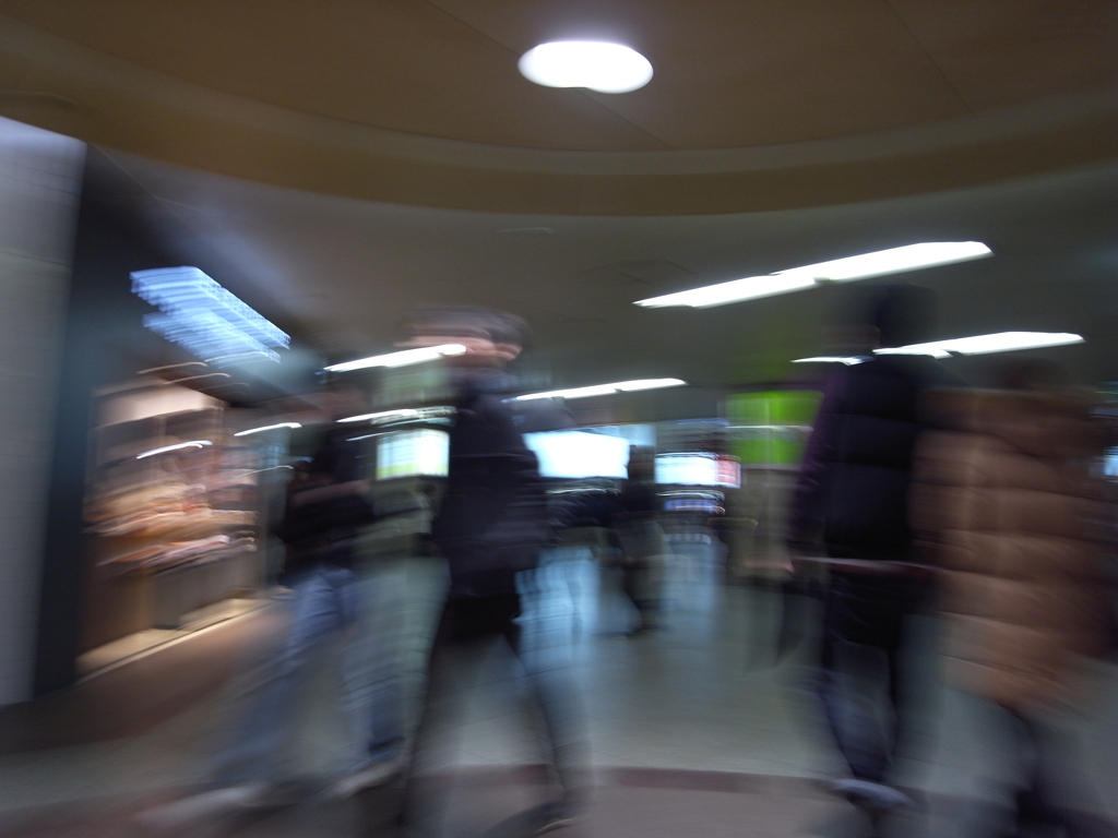 Ｗａｌｋｉｎｇ　Ｐｈｏｔｏ