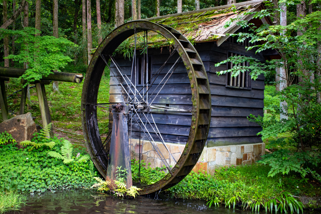 万博記念公園にて