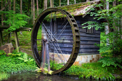 万博記念公園にて