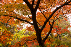 そろそろ終わり