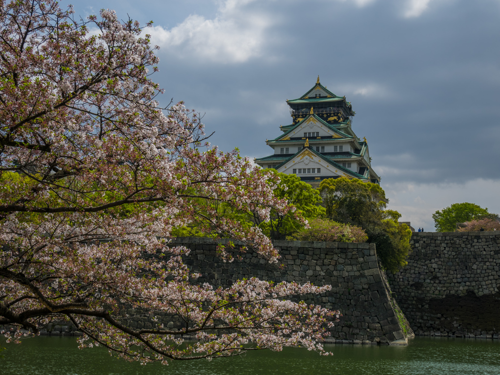春の陣