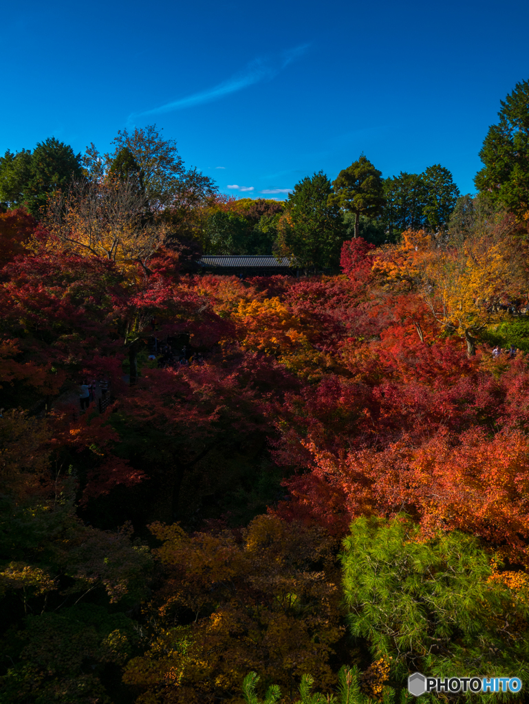 東福寺にて