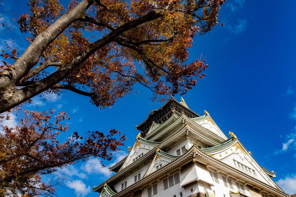 大阪城公園にて