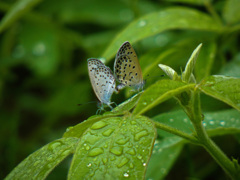 大阪城公園にて