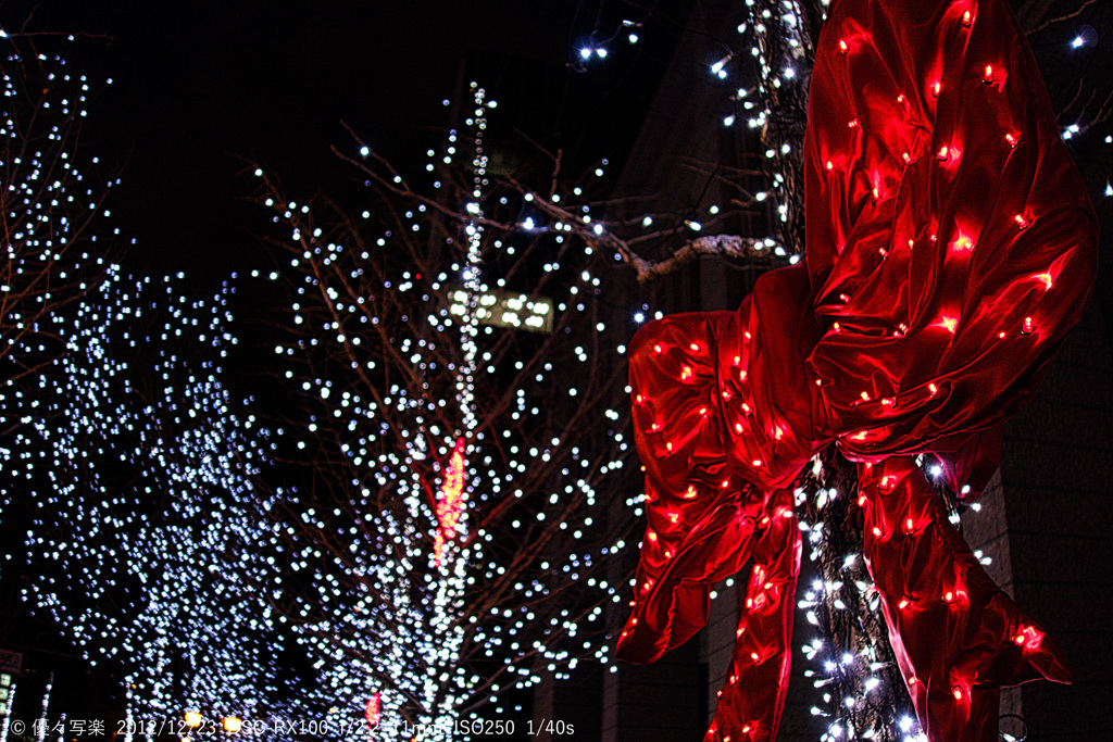 2012.12.22　御堂筋