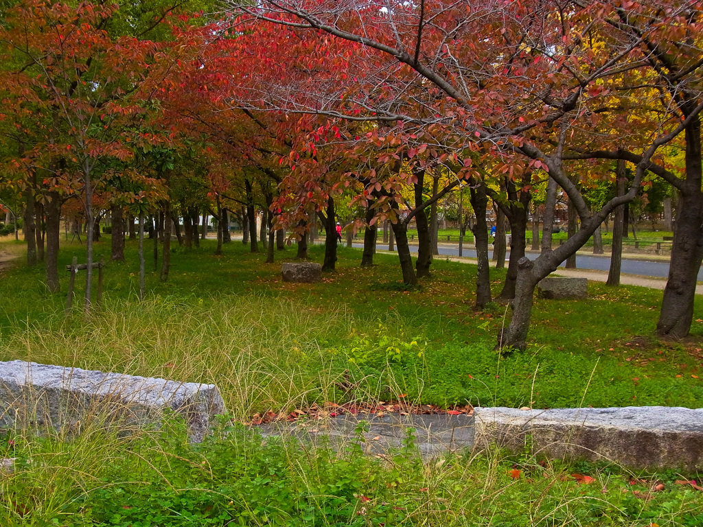 大阪城公園にて